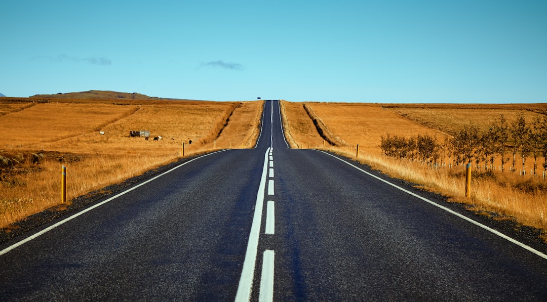Sustainable Road Construction